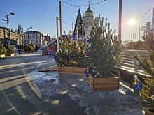 Стало известно, когда начнет работу каток и резиденция Деда Мороза во Владивостоке