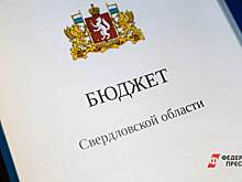 ​Свердловские власти снизили расходы на медицину, спорт и культуру на 2023 год