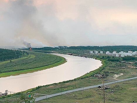 Greenpeace предупредил о риске повторения большого пожара в Сибири в 2020 году