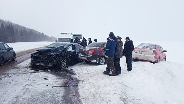 В Башкирии в смертельном ДТП пострадал глава минздрава республики