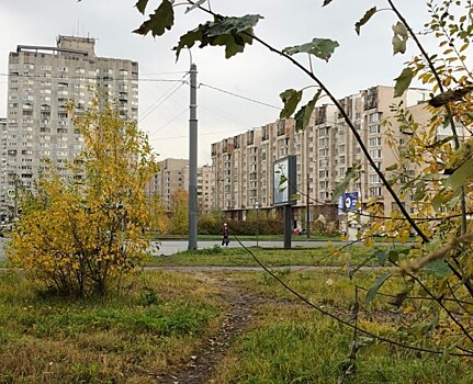 Сквер в честь фильма «Осенний марафон» планируют разбить в Петербурге в 2020 году