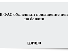 ФАС назвала одной из причин роста цены на бензин проявления монополизма на рынке