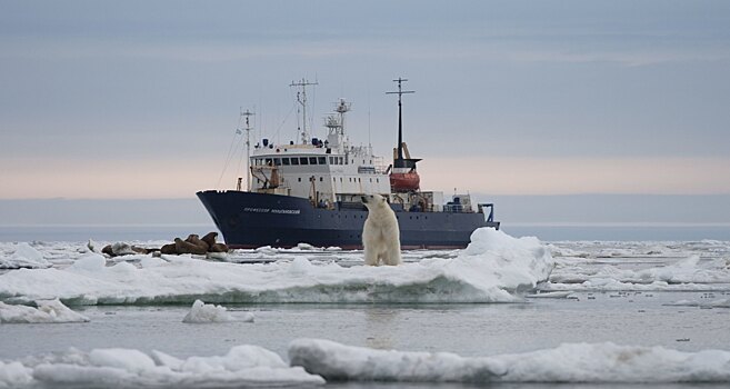 В Карском море найден термоклин