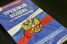 Совет Федерации одобрил закон о дополнительных трудовых гарантиях для работников с детьми