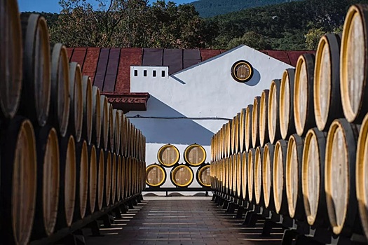 Кубанские винодельни привлекают свыше миллиона туристов ежегодно