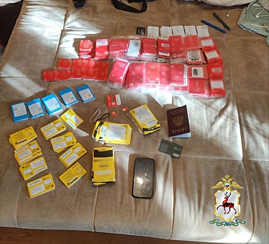 Силовики поймали 19-летнего пособника мошенников с сим-боксами в Нижнем Новгороде