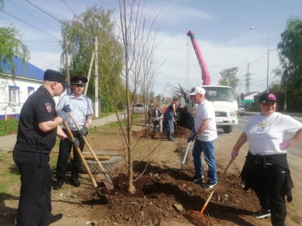 В Кинель-Черкасском районе прошла акция «Сад Памяти»