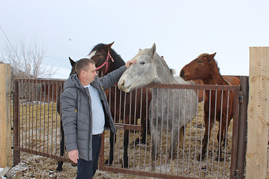 "Хочется поднять престиж сельского труда": аграрии Алексеевского района осваивают новые направления