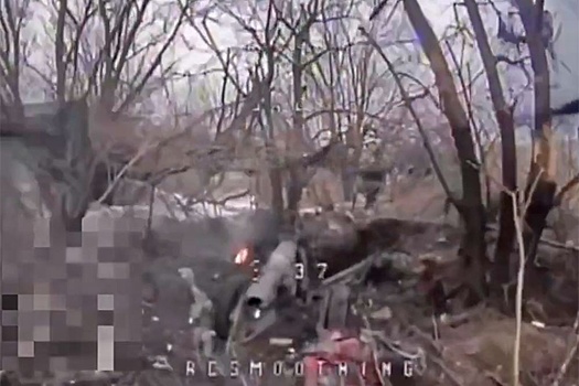 Операторы дронов уничтожили редкую легкую итальянскую горную гаубицу