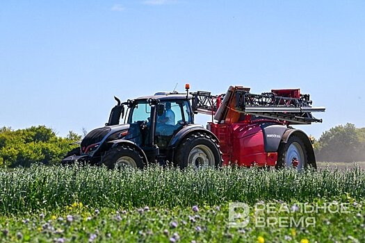 Экспорт продукции АПК из Татарстана вырос на 14%