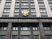 В Госдуме прокомментировали призыв запретить въезд россиян в страны Евросоюза