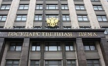 В Госдуме прокомментировали призыв запретить въезд россиян в страны Евросоюза