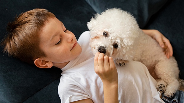 Названы породы собак, которые идеально подойдут новичкам