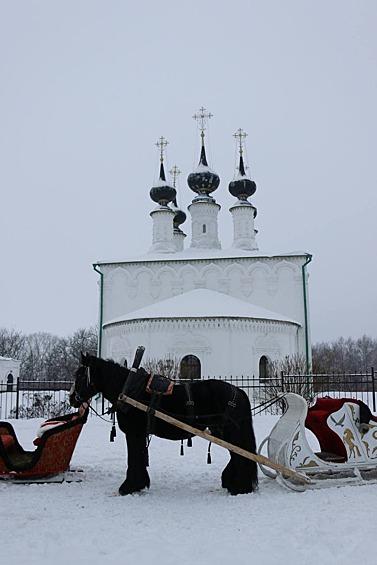 Около Кремля туристов катают на санях.