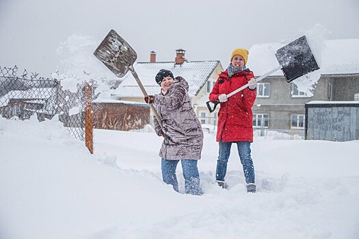 Названы бонусы для дачников при присоединении СНТ к деревням