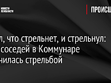 Сказал, что стрельнет, и стрельнул: ссора соседей в Коммунаре закончилась стрельбой
