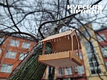 В Курской области 8 февраля похолодает до -7 градусов