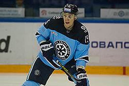 Бюджетные траты на ХК «Сибирь» выросли в два раза