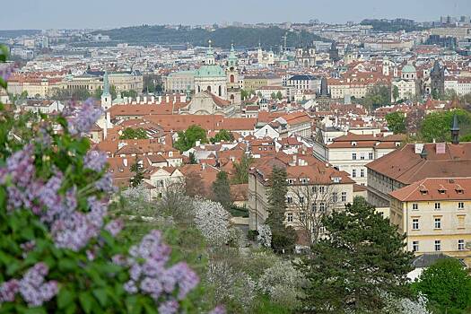 Живущая в Чехии россиянка рассказала о сложных отношениях с местными мужчинами
