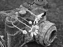 Выставка художественной фотографии открылась в Нижнем Новгороде