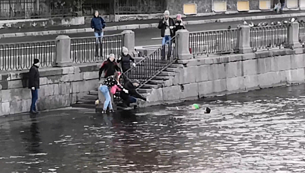 В Петербурге ищут мужчину, который спас упавшую в воду собаку