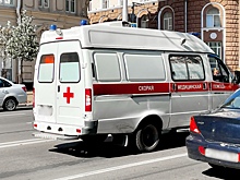 На Дону от клещей обработали более 2500 га земель