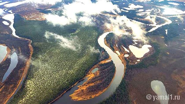 В Новом Уренгое обсудят климатическую повестку Ямала