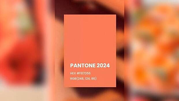 Дизайнер Кузнецова рассказала о применении цвета 2024 года Peach Fuzz в интерьере