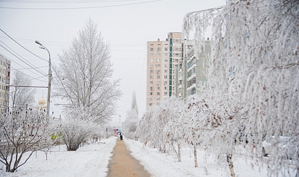 Волгоградские управляющие компании будут дежурить в новогодние праздники