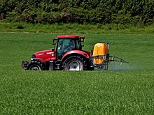 Доля российских производителей СЗР может вырасти до 80%