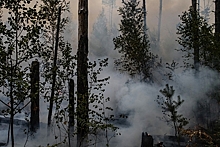 Жителей еще одного поселка в Рязанской области решили эвакуировать из-за пожаров