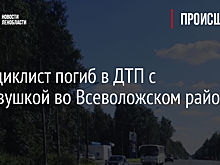 Мотоциклист погиб в ДТП с легковушкой во Всеволожском районе