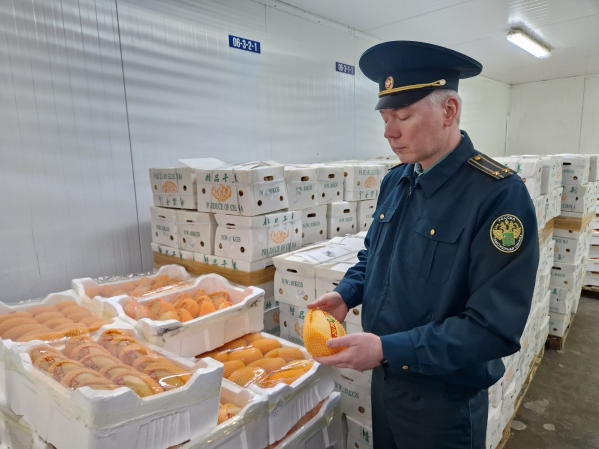 В Екатеринбург из Китая привезли экзотических фруктов на миллионы рублей