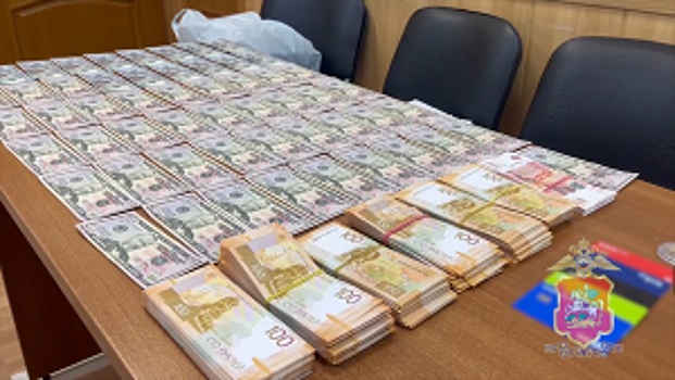 Подмосковные полицейские задержали пособника телефонных мошенников, обманувших пенсионерку на 4 млн рублей