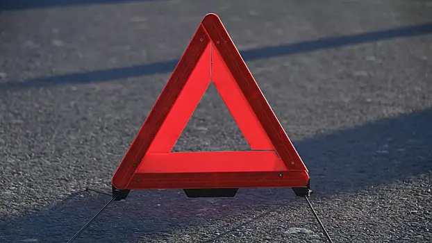 В Красноярском крае иномарка сбила двух девочек на переходе