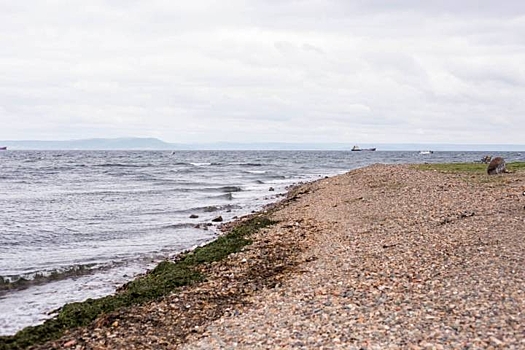 Пляжи Партизанского района проверяют на соответствие стандартам безопасности