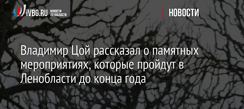 Владимир Цой рассказал о памятных мероприятиях, которые пройдут в Ленобласти до конца года