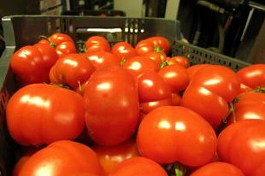 Огурцы и помидоры подорожали в Псковской области за минувшую неделю