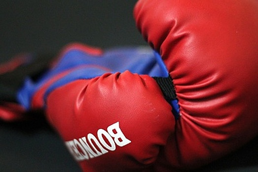 Профессиональные боксеры провели мастер‑класс для детей в Орехово‑Зуеве