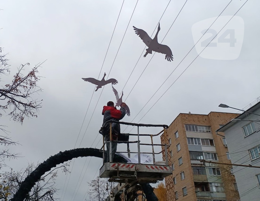 Белых журавлей отправили на зимовку