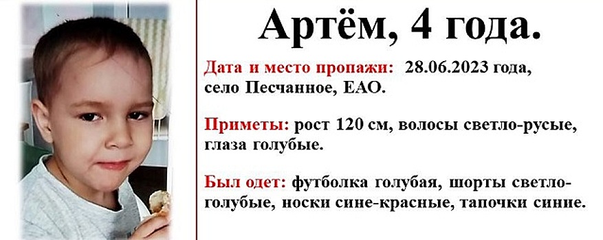 В ЕАО найден живым пропавший  4-летний мальчик Артем