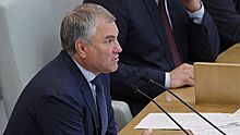 Володин возглавил попечительской совет ВГИК