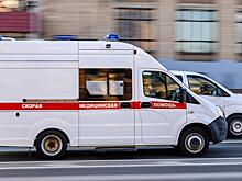 Два человека подорвались на мине в Курской области