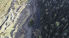 Золотодобывающая компания уничтожила более 55 тысяч кв. м леса в Кузбассе