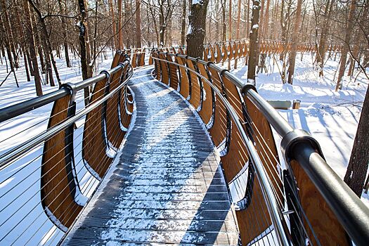 Сергунина: На ВДНХ подготовили зимний прогулочный маршрут