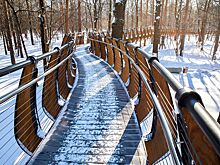 Сергунина: На ВДНХ подготовили зимний прогулочный маршрут