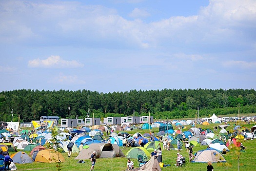 Фестиваль "Дикая Мята" завершился в Тульской области