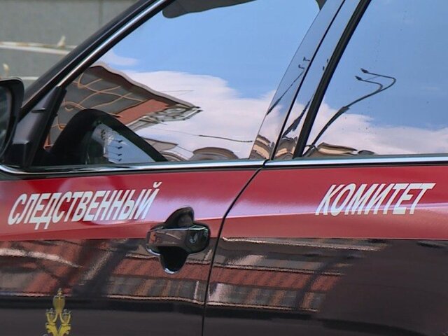 Подозреваемая в подстрекательстве к убийству 17-летнего подростка задержана в Петербурге