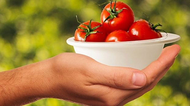 Томатная геополитика: турецкие овощи не изменят отношений Москвы и Минска