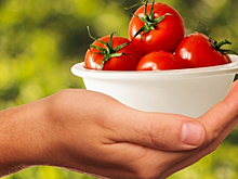 Томатная геополитика: турецкие овощи не изменят отношений Москвы и Минска